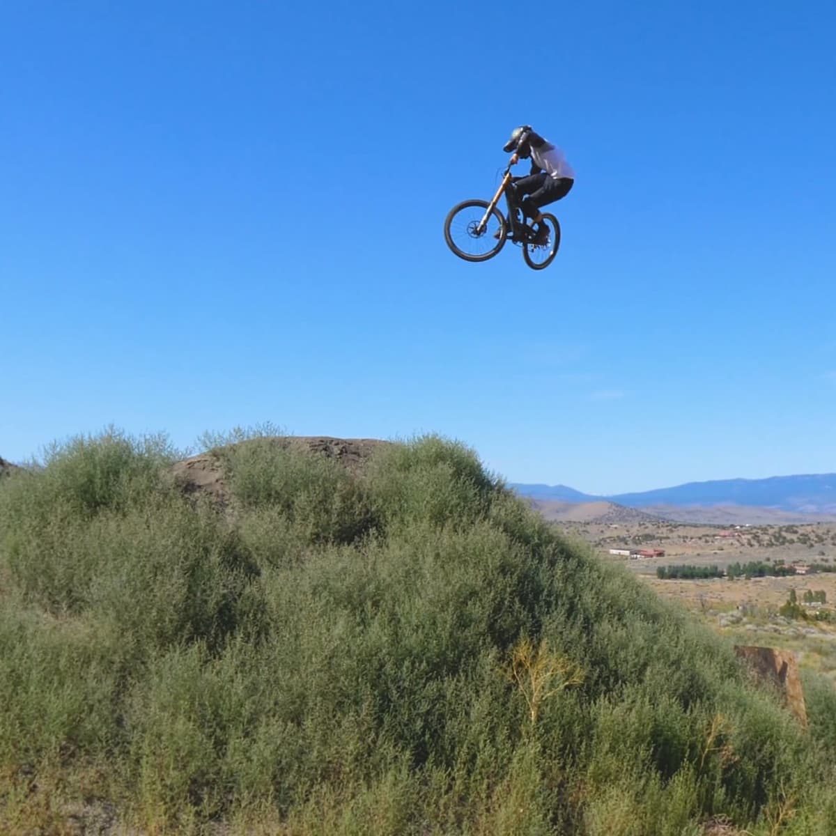 Whip on bike store