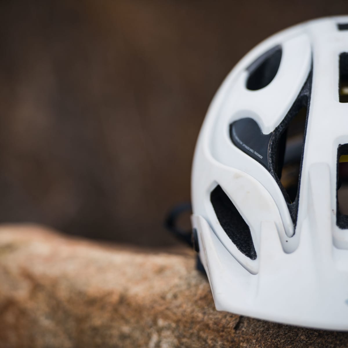 Bushwhacker ii top carbon mips helmet