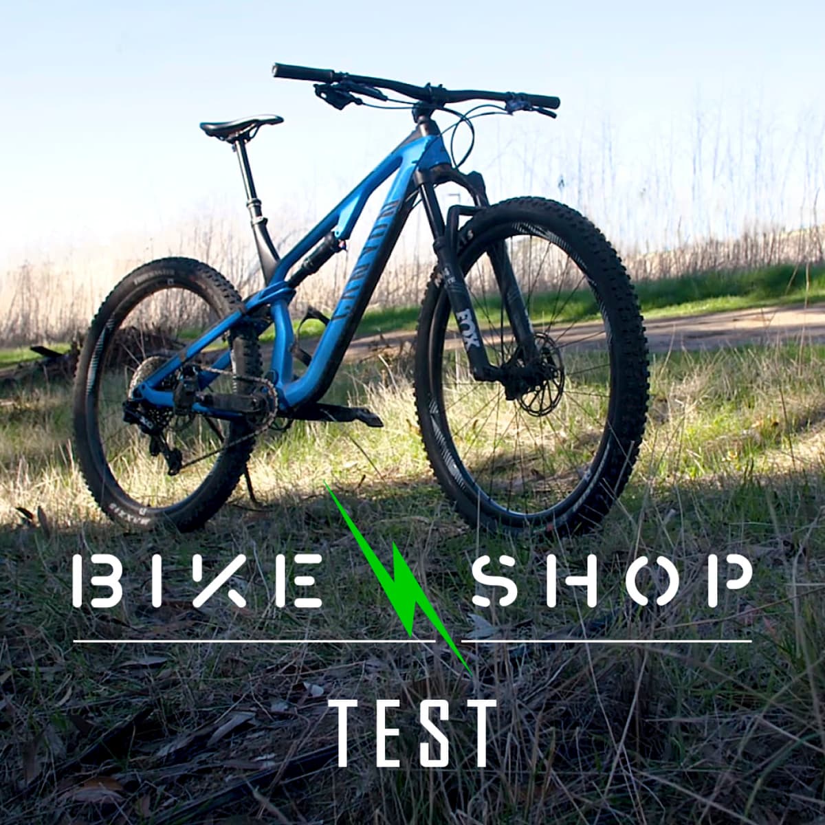 Tested Canyon Neuron