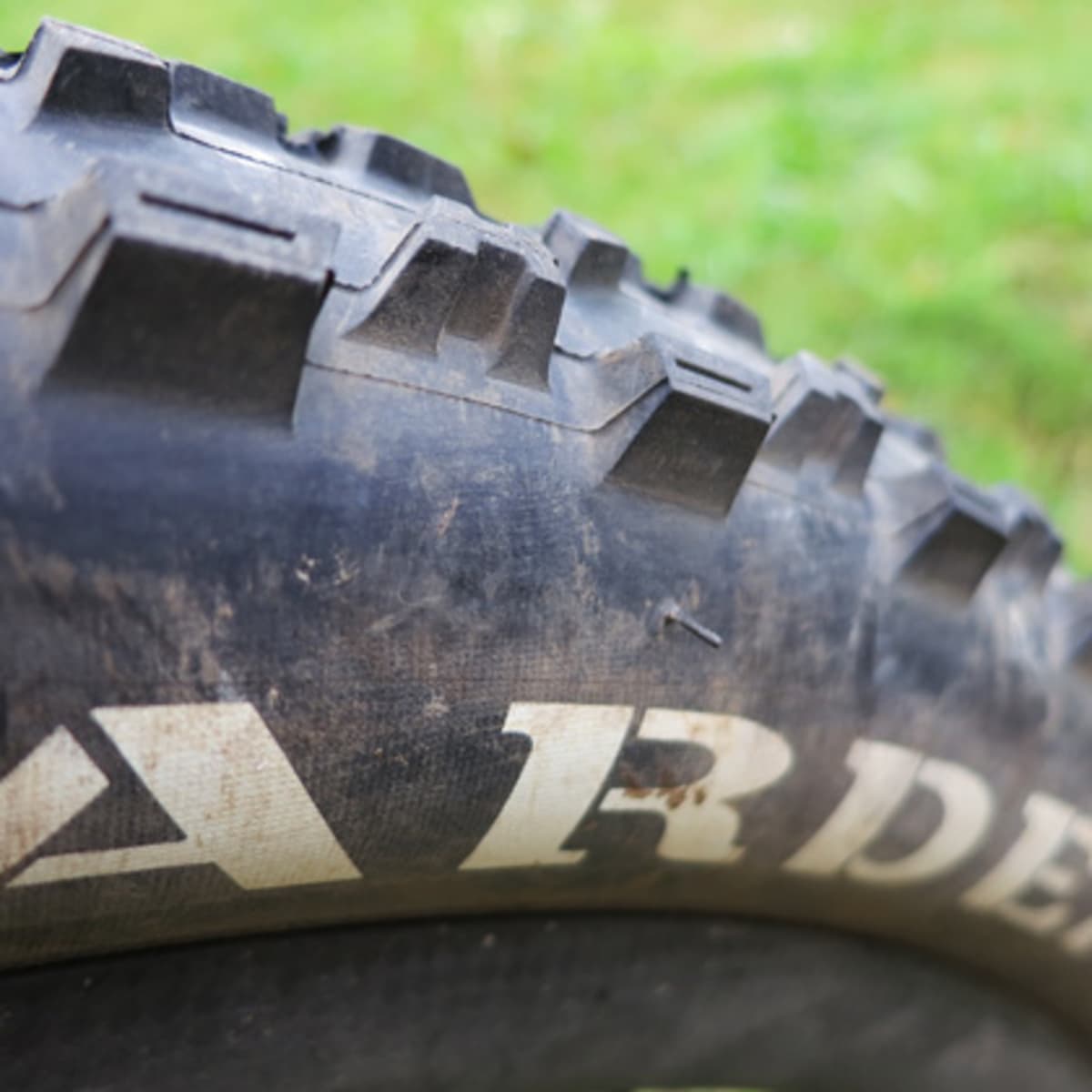 Maxxis ardent 29 2.40 new arrivals