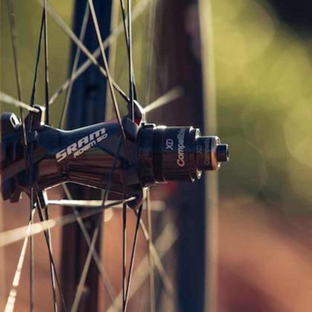 Roam 60 online