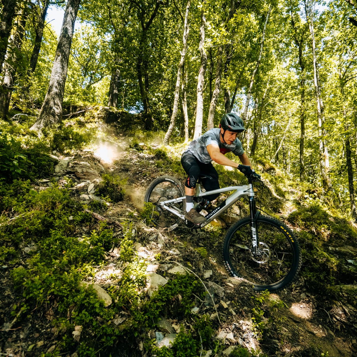 Privateer best sale e bike