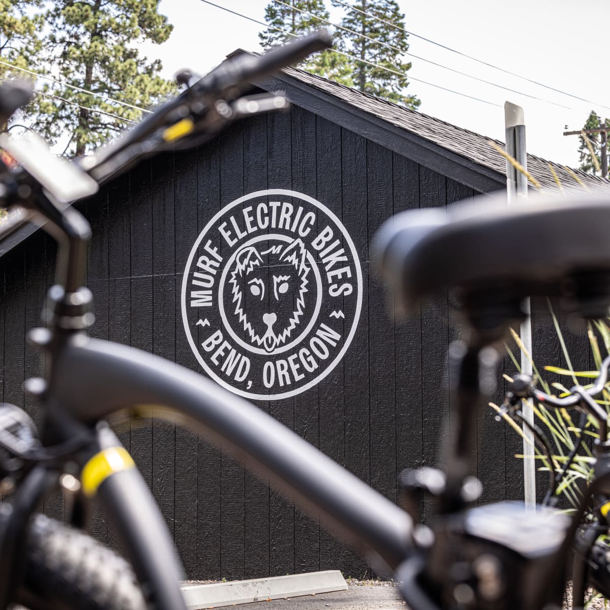 Murf bike review top