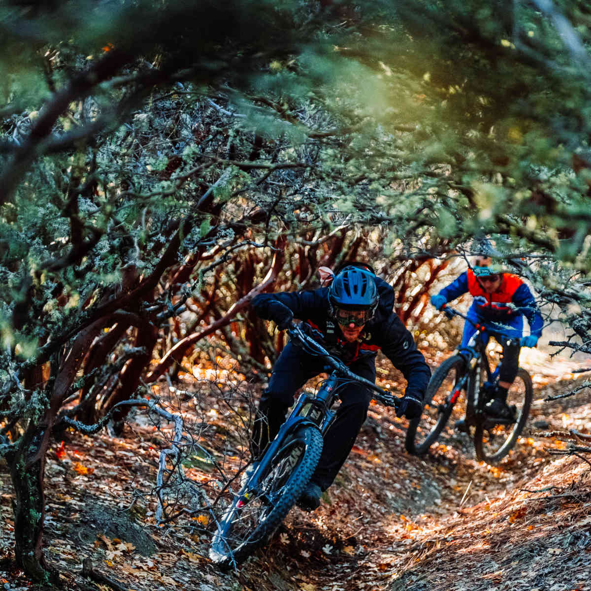 Mountain Biking Destination Ashland Oregon BikeMag