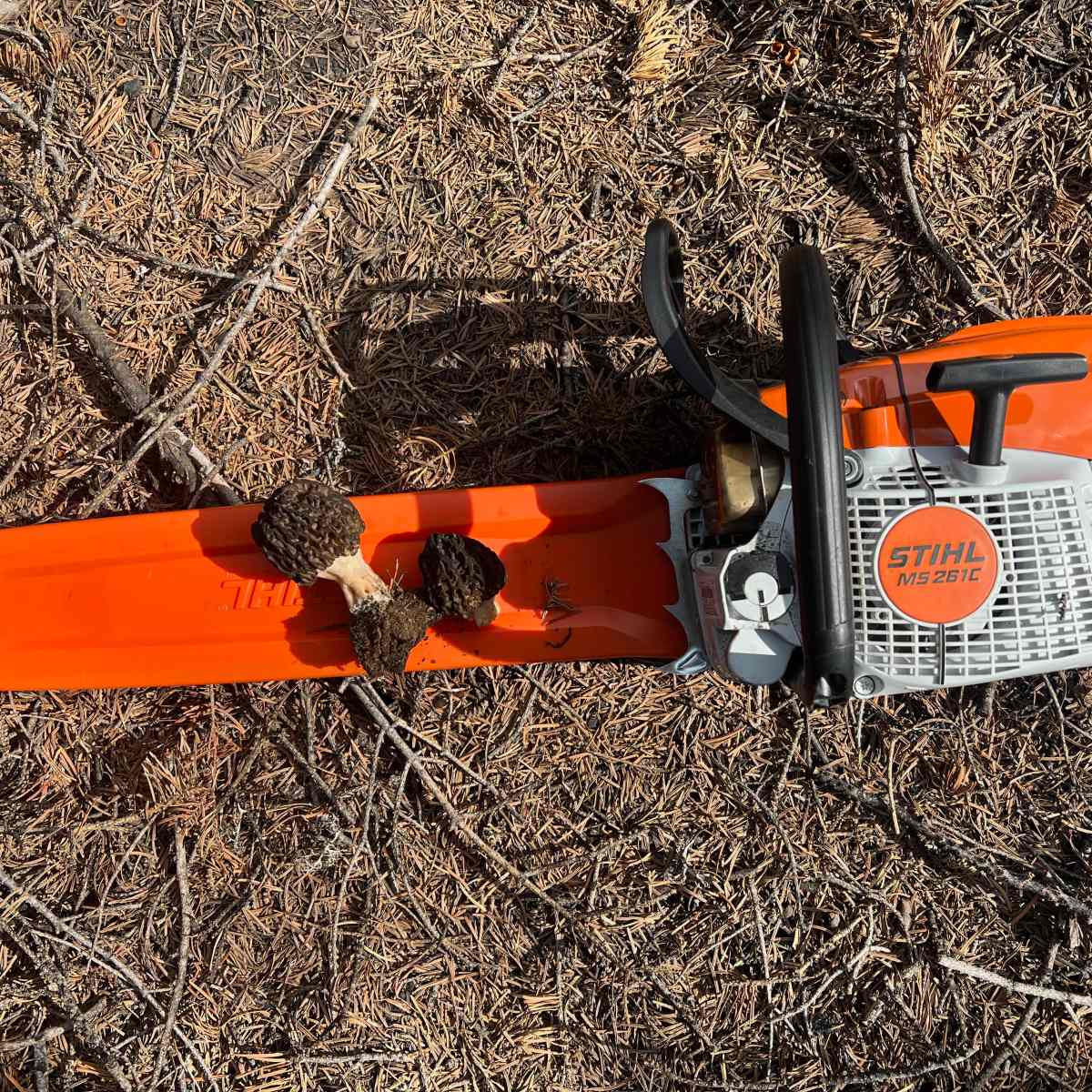 Trail builder pack top
