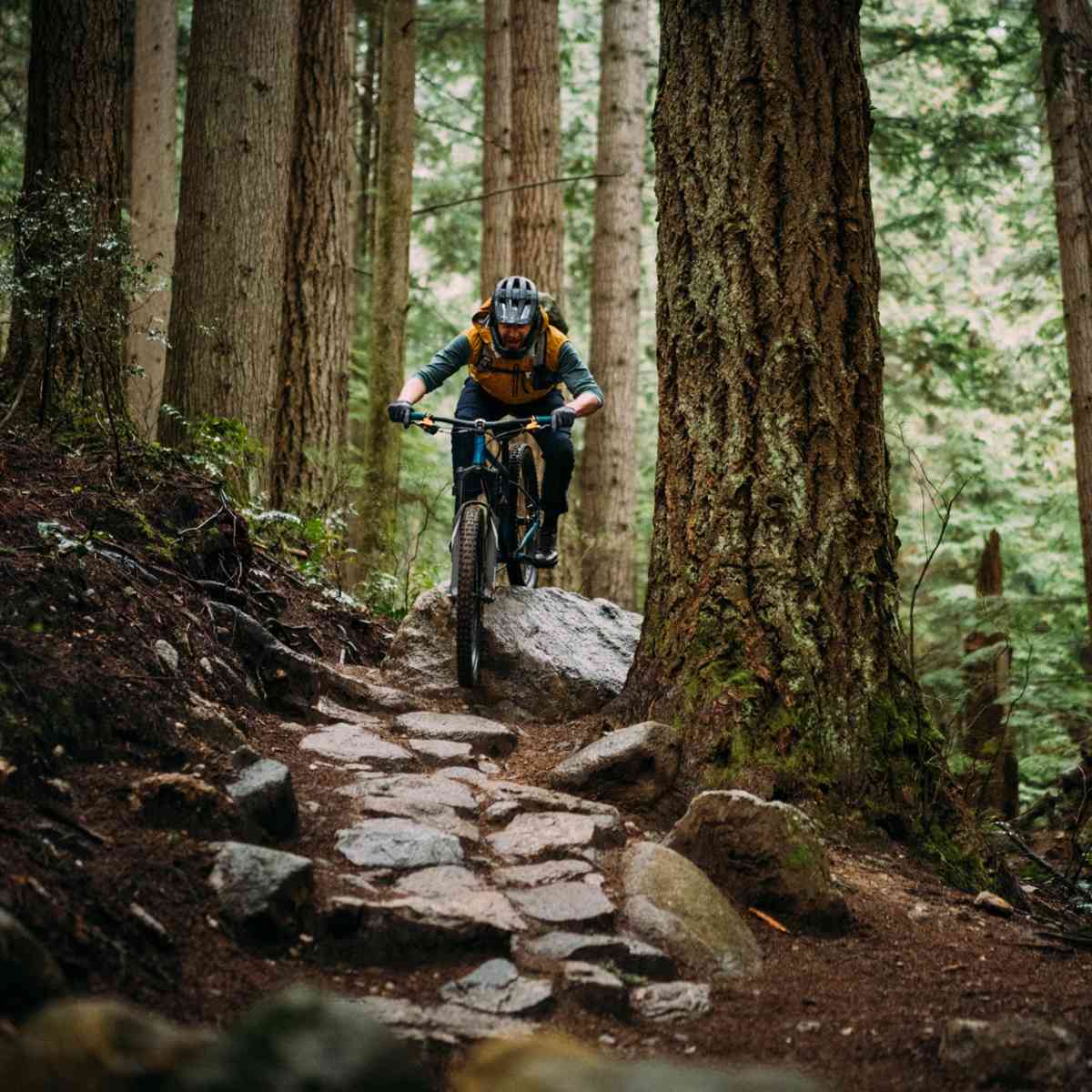 Downhill mountain bike brakes new arrivals