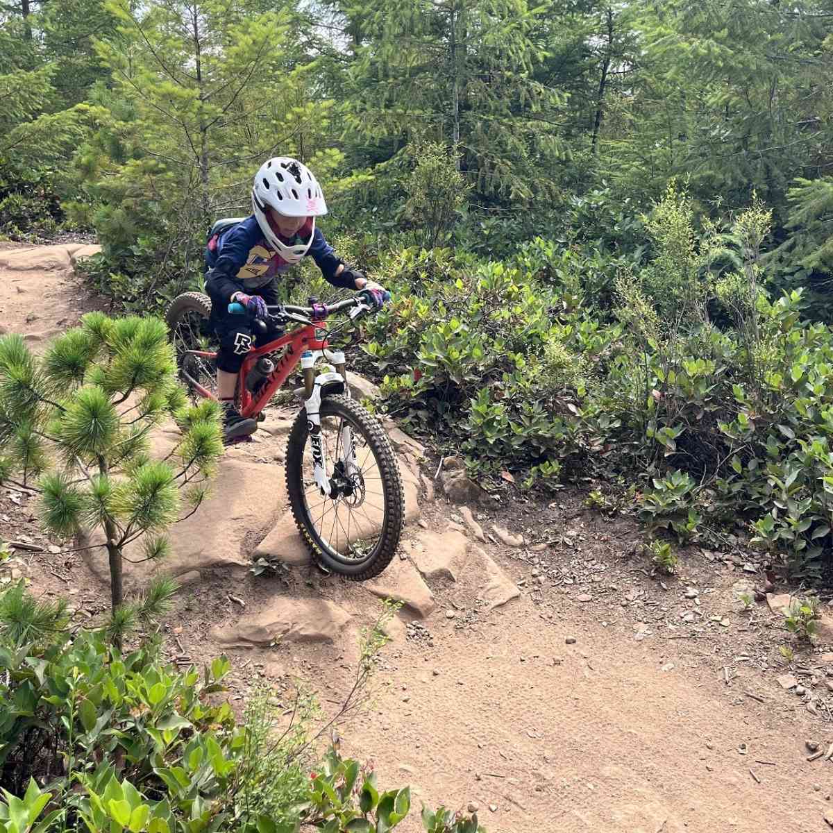 Buying a mountain bike online