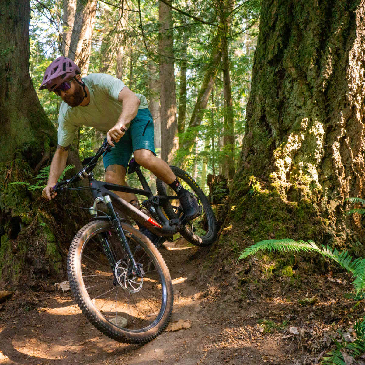 Tested Trek Top Fuel BikeMag