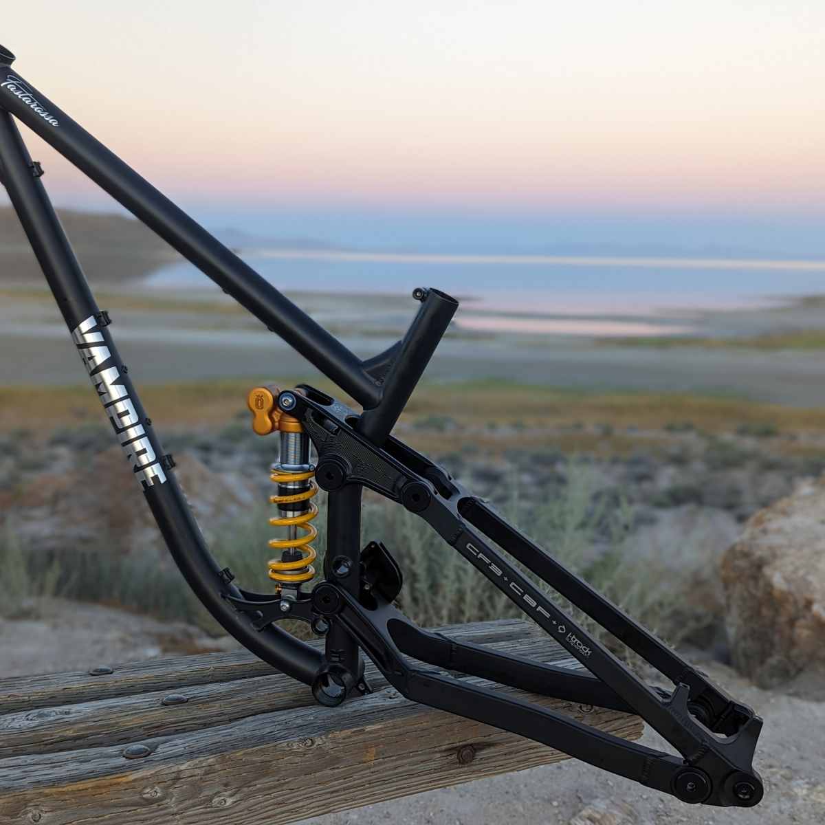 Vampire modern bikes price online