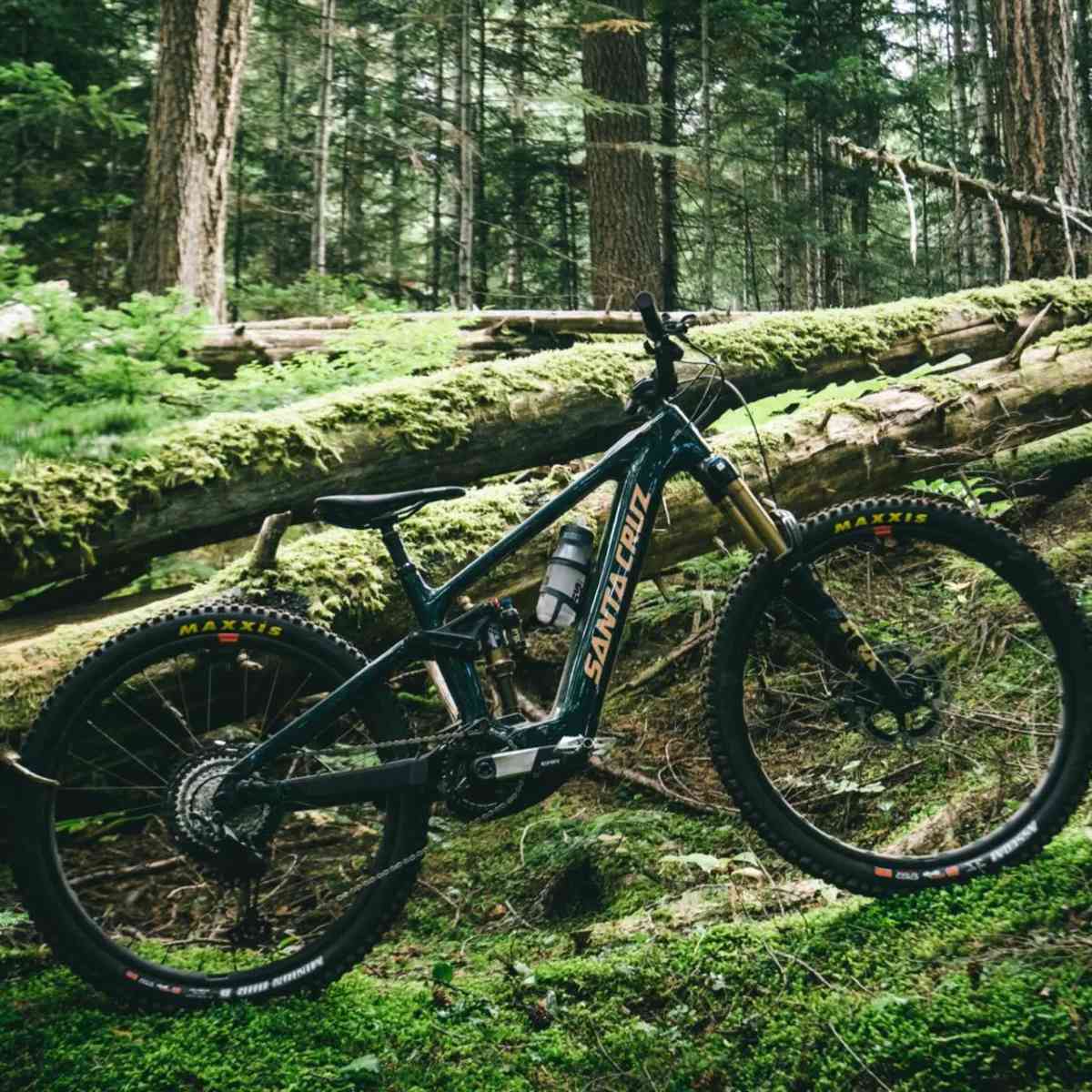 大きい割引 New Releases Cruz Santa Vala Design Unique With Bike E-Mountain スキー