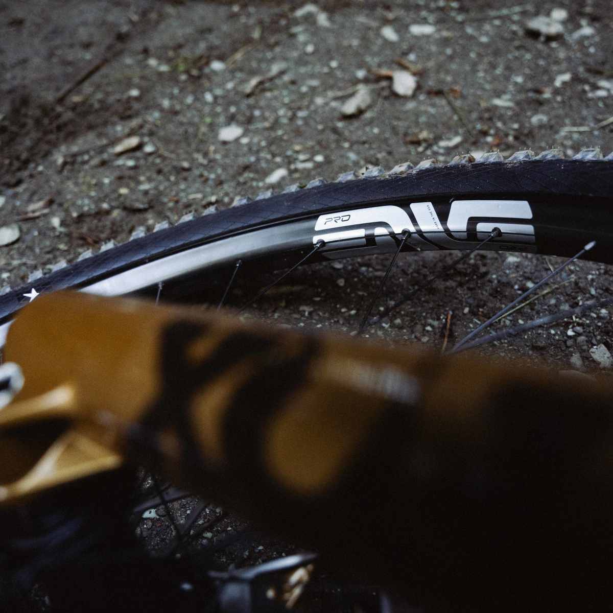 New enve wheels outlet