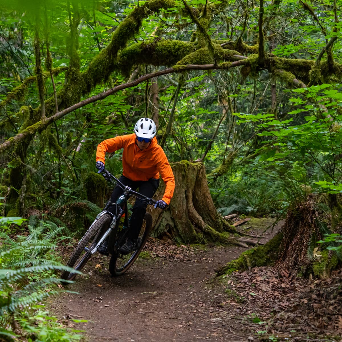 Lightweight trail bike best sale