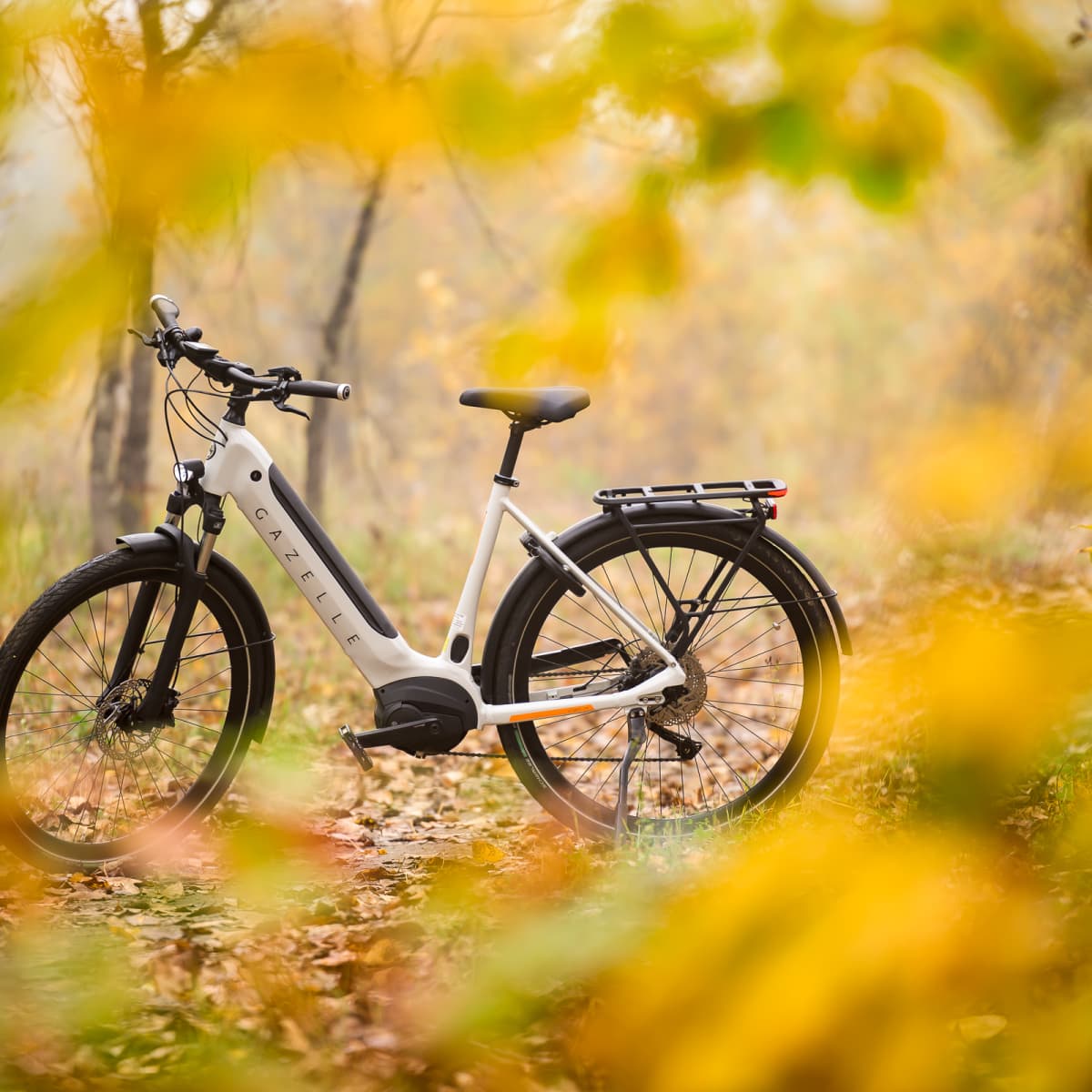 Gazelle ultimate t10 new arrivals hmb 2020 review