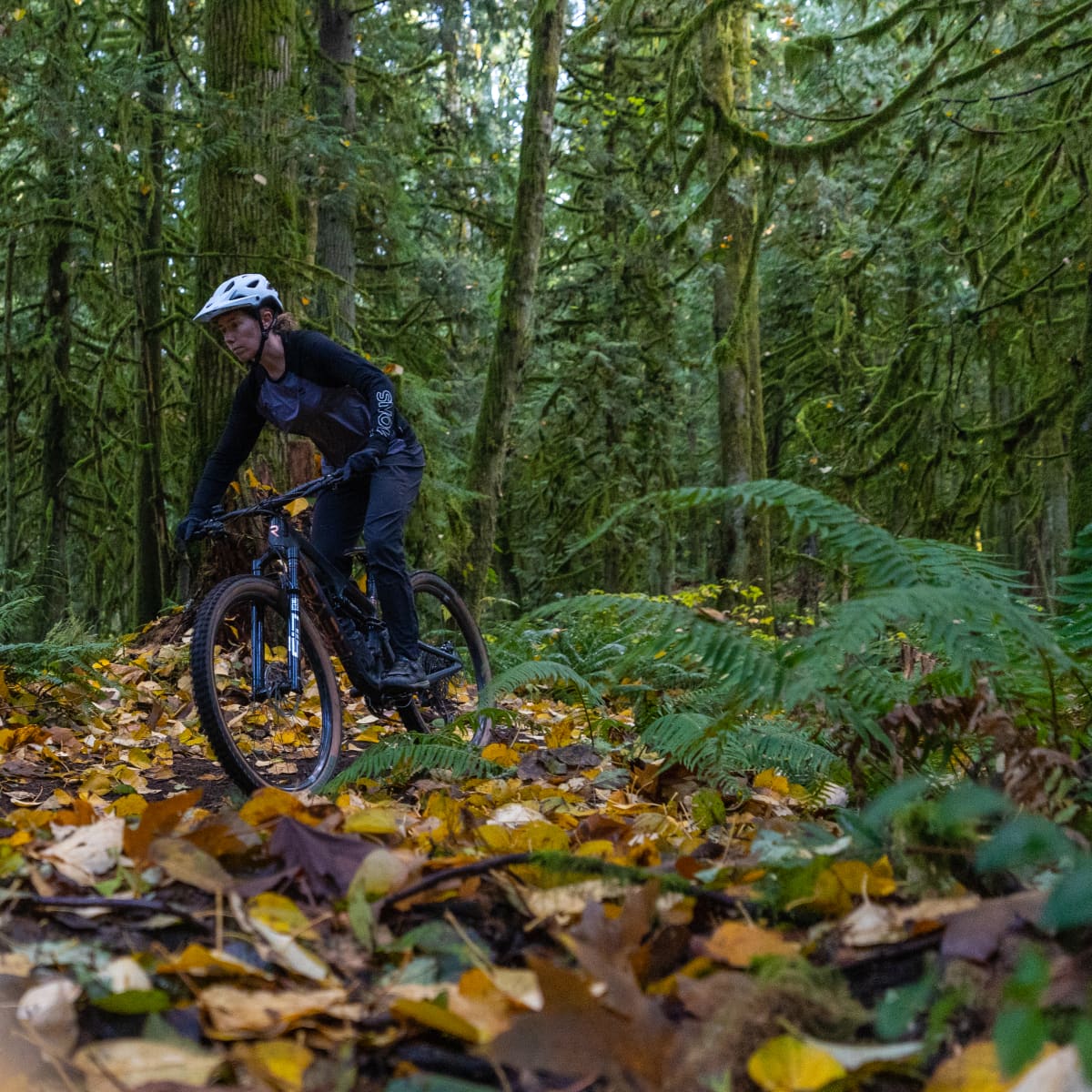 Mons royale mtb store