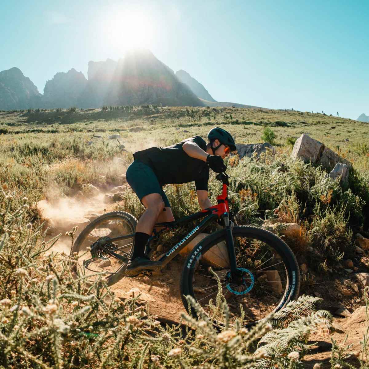 Save Thousands on Cannondale's Most Popular Mountain Bikes Save Thousands on Cannondale's Most Popular Mountain Bikes