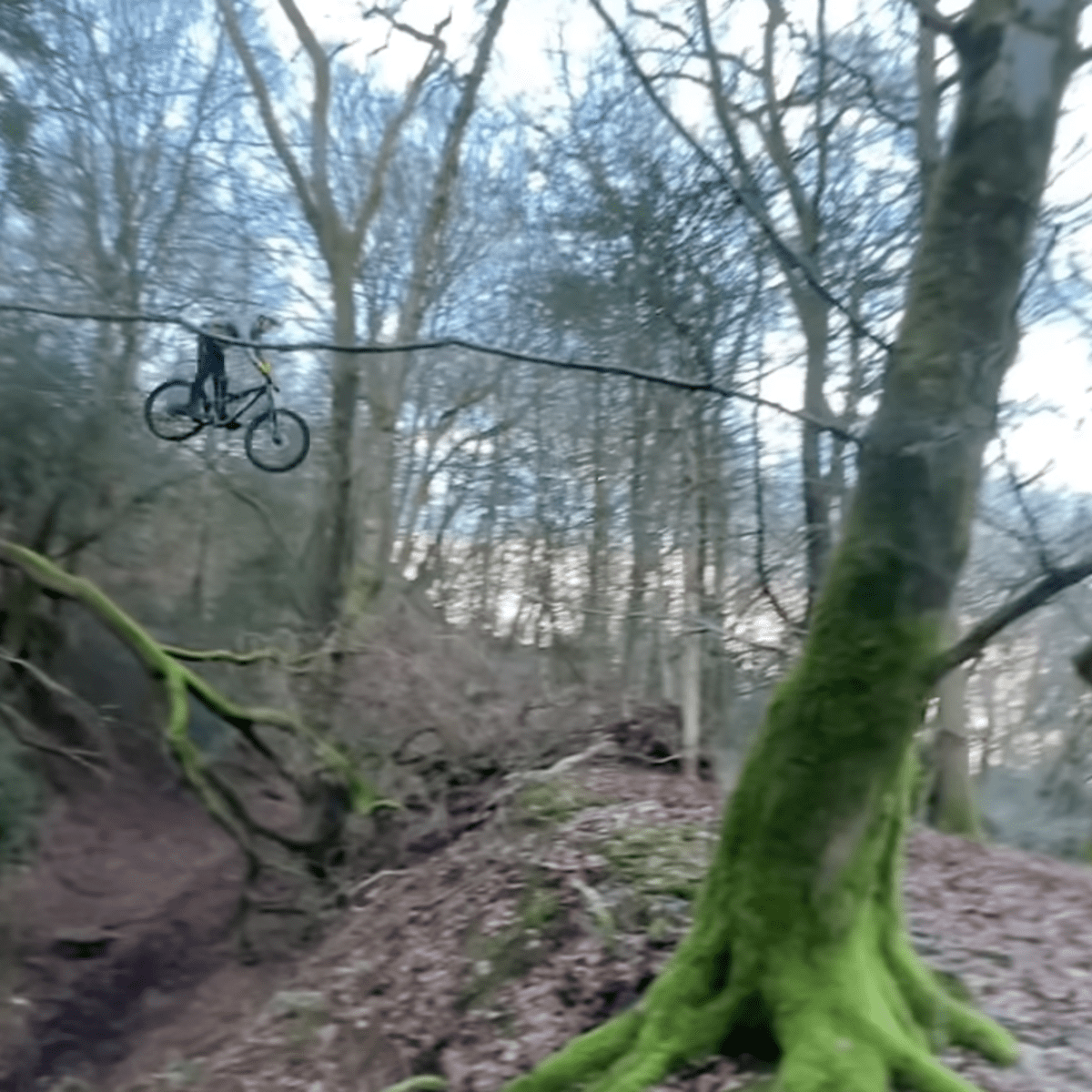 Dead sailor mtb deals