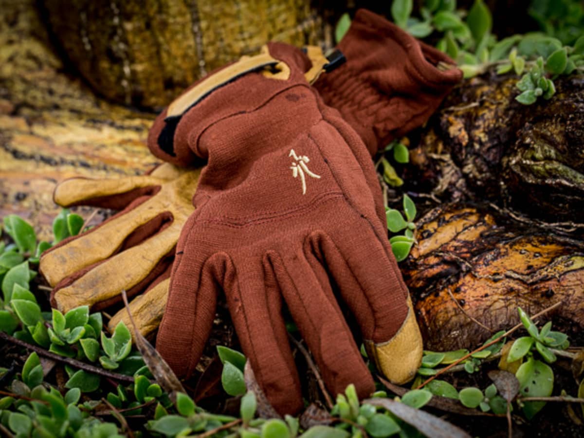 Ibex wool shop gloves