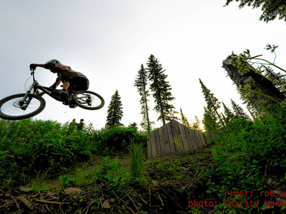 Silver star bike online