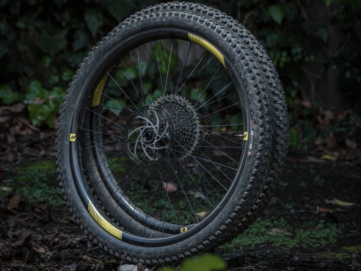 Reynolds tr 309 carbon store