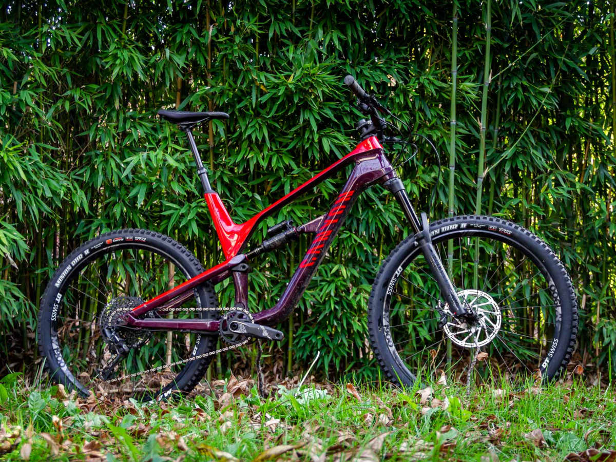 Spectral canyon 2019 outlet