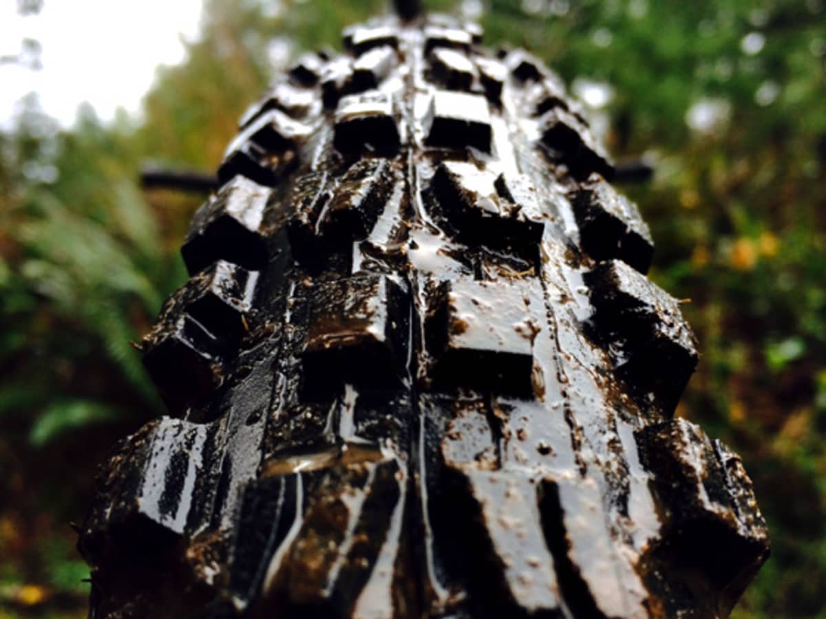 Maxxis minion dhf 29 review outlet