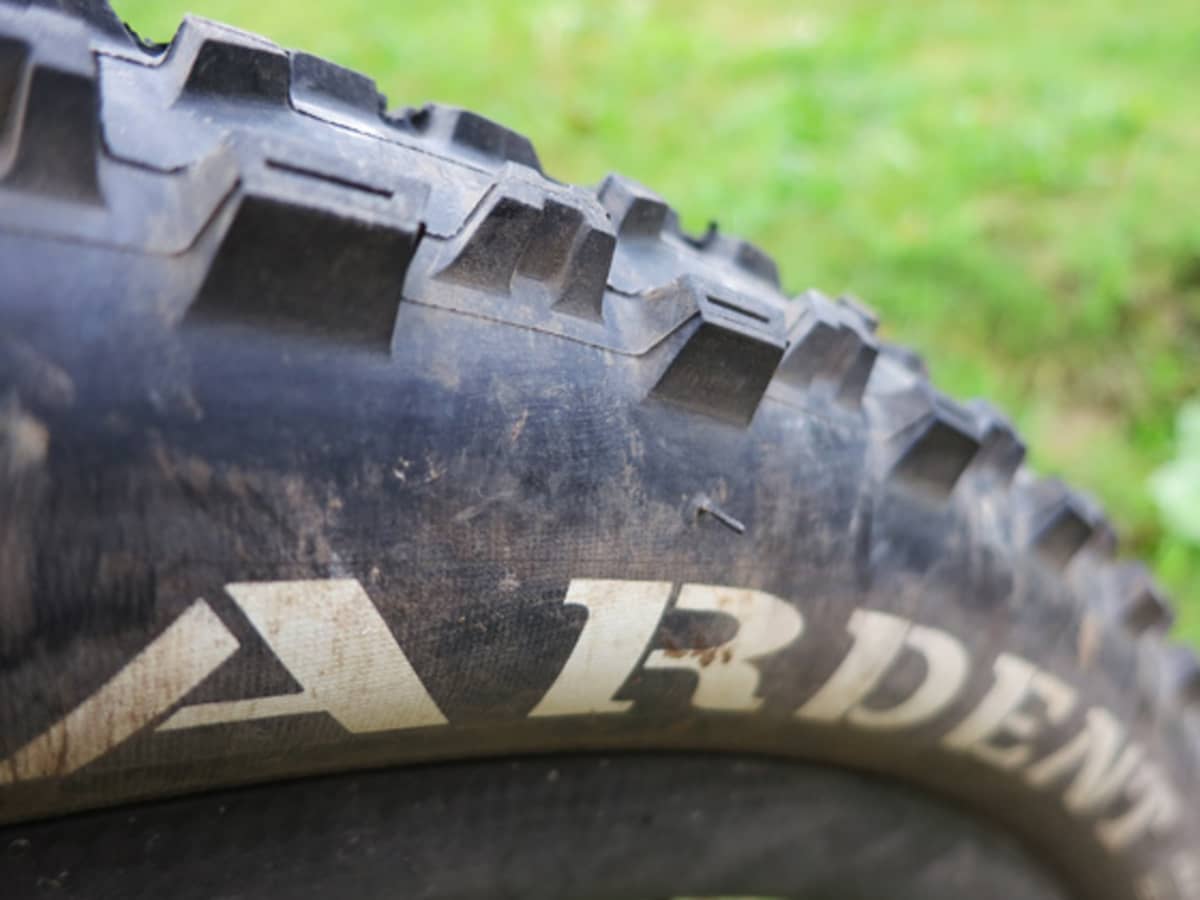 Maxxis Ardent 2.4 Review