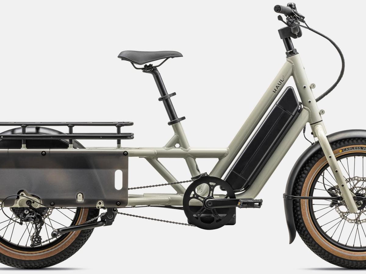 Best electric cargo top bikes for families