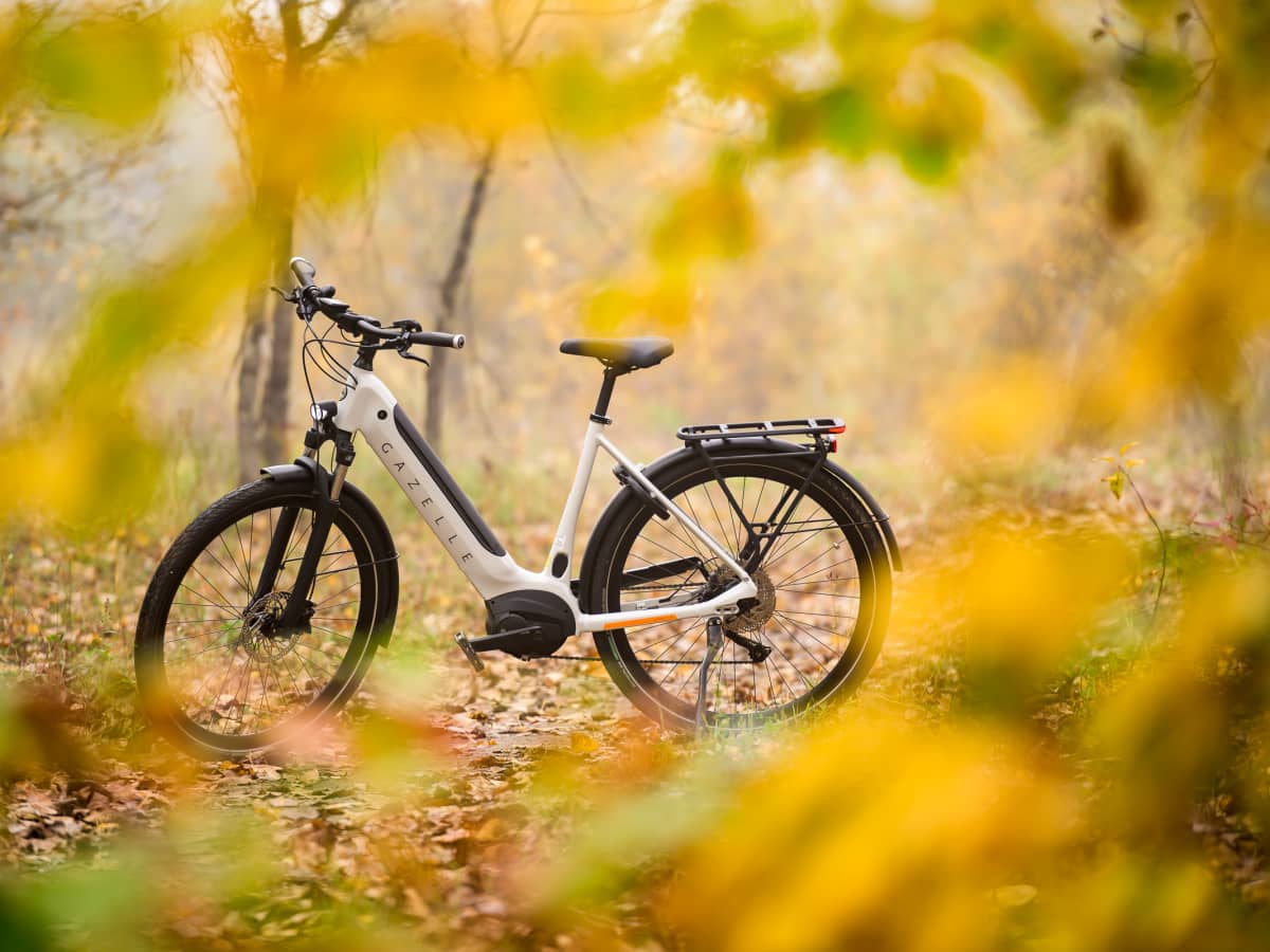 Gazelle Ultimate T10 Review Specs Photos BikeMag eBikes