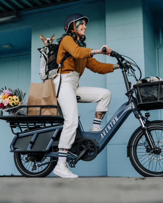 Rad Dad tests the limits of his e cargo bike at Costco. Will it