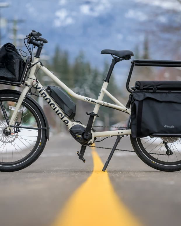 Costco rad hot sale bikes