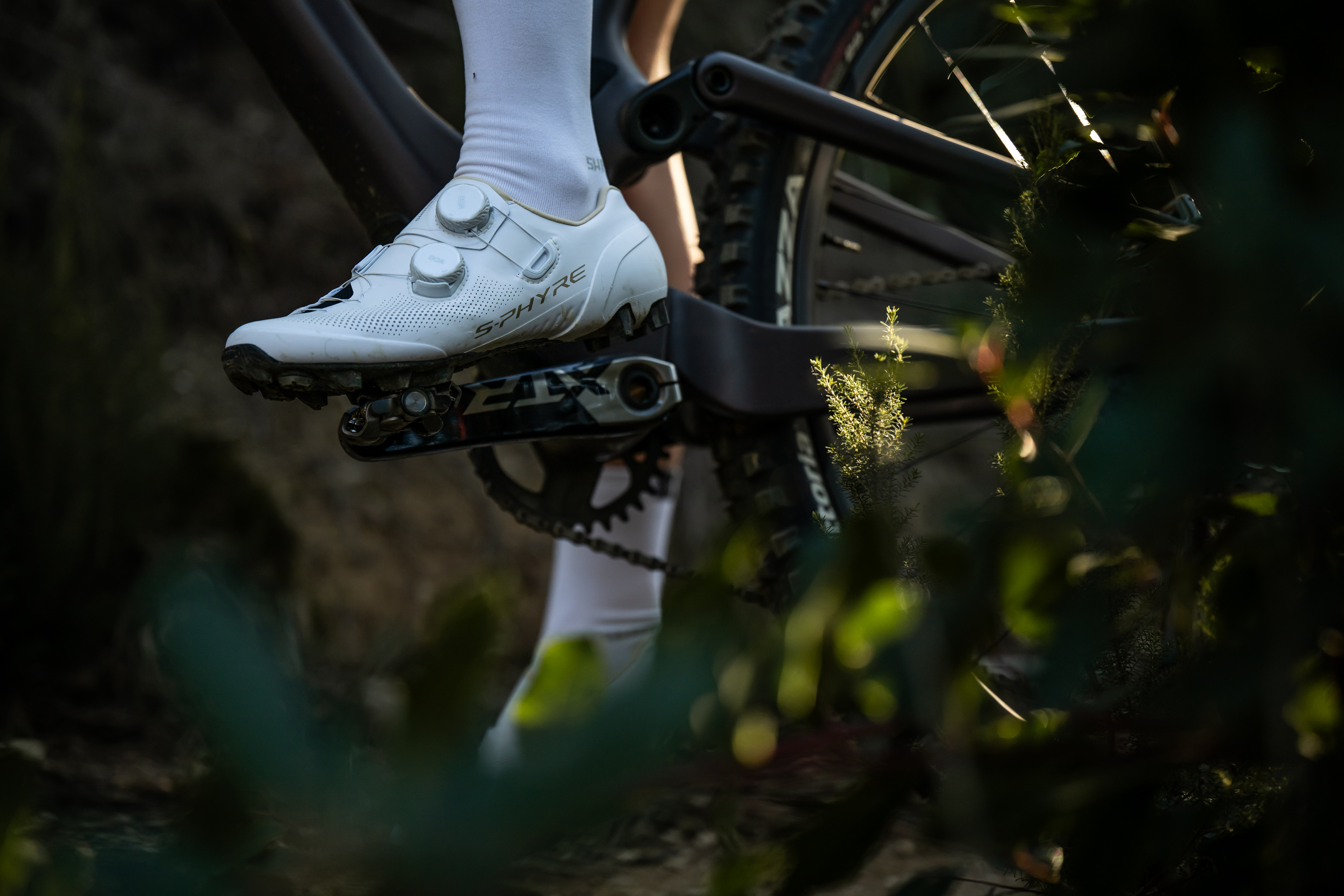 SHIMANO - shoya Shimano MW7 Cycling Shoe - Men's - Men