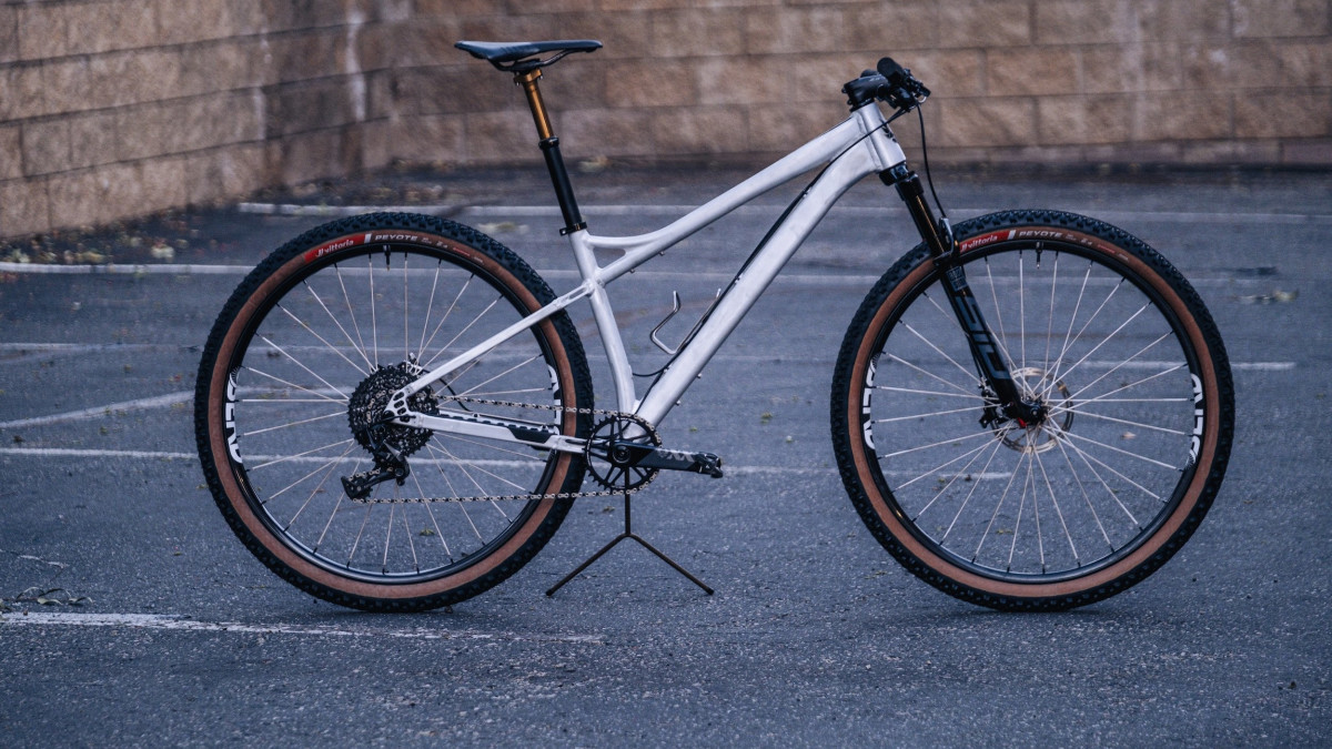 Trail Bikes Lachinita 2021 Best Downhill Bikes This Aluminum