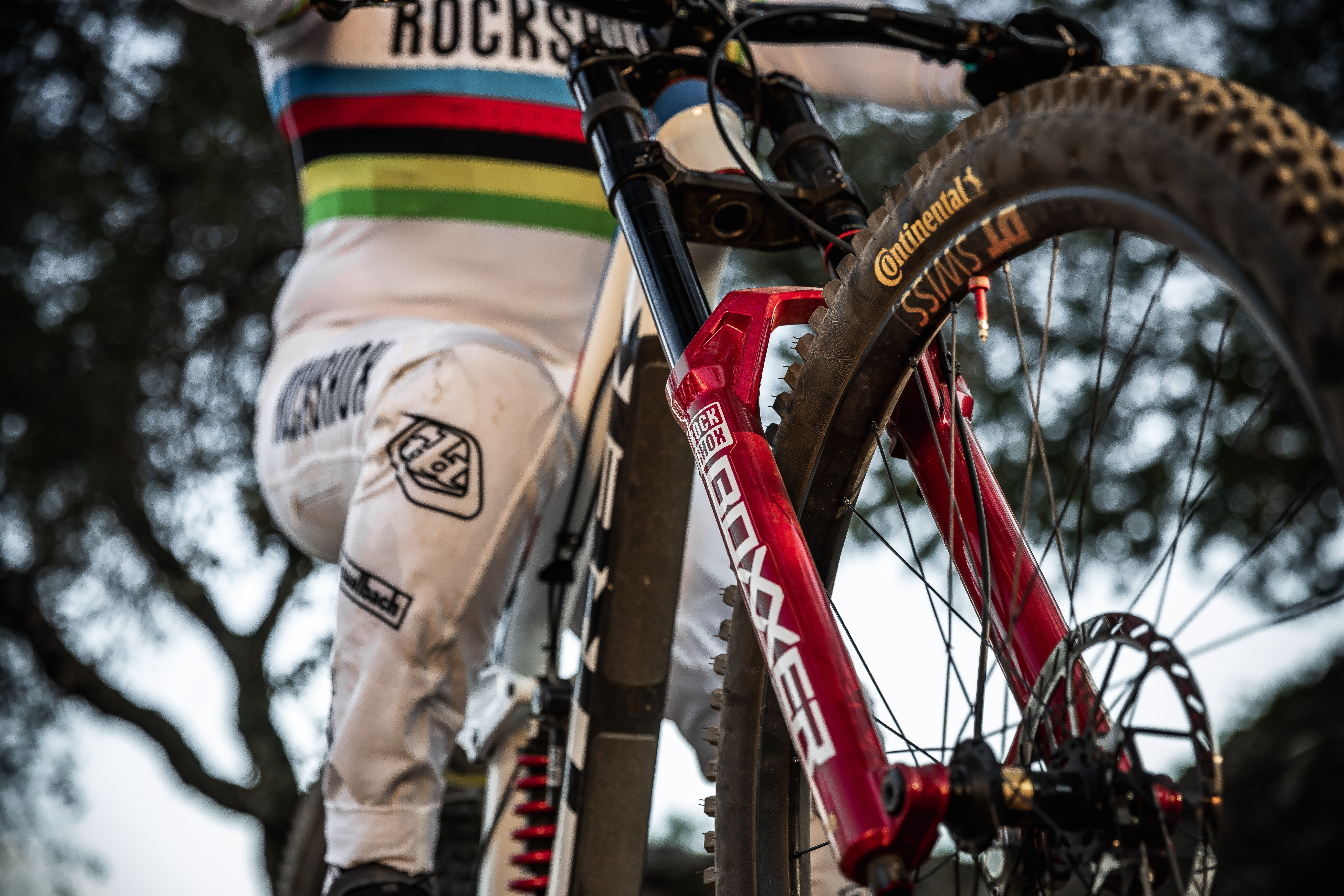 カーボン　ダウンヒルバイク　boxxer カーボン ダウンヒルバイク boxxer