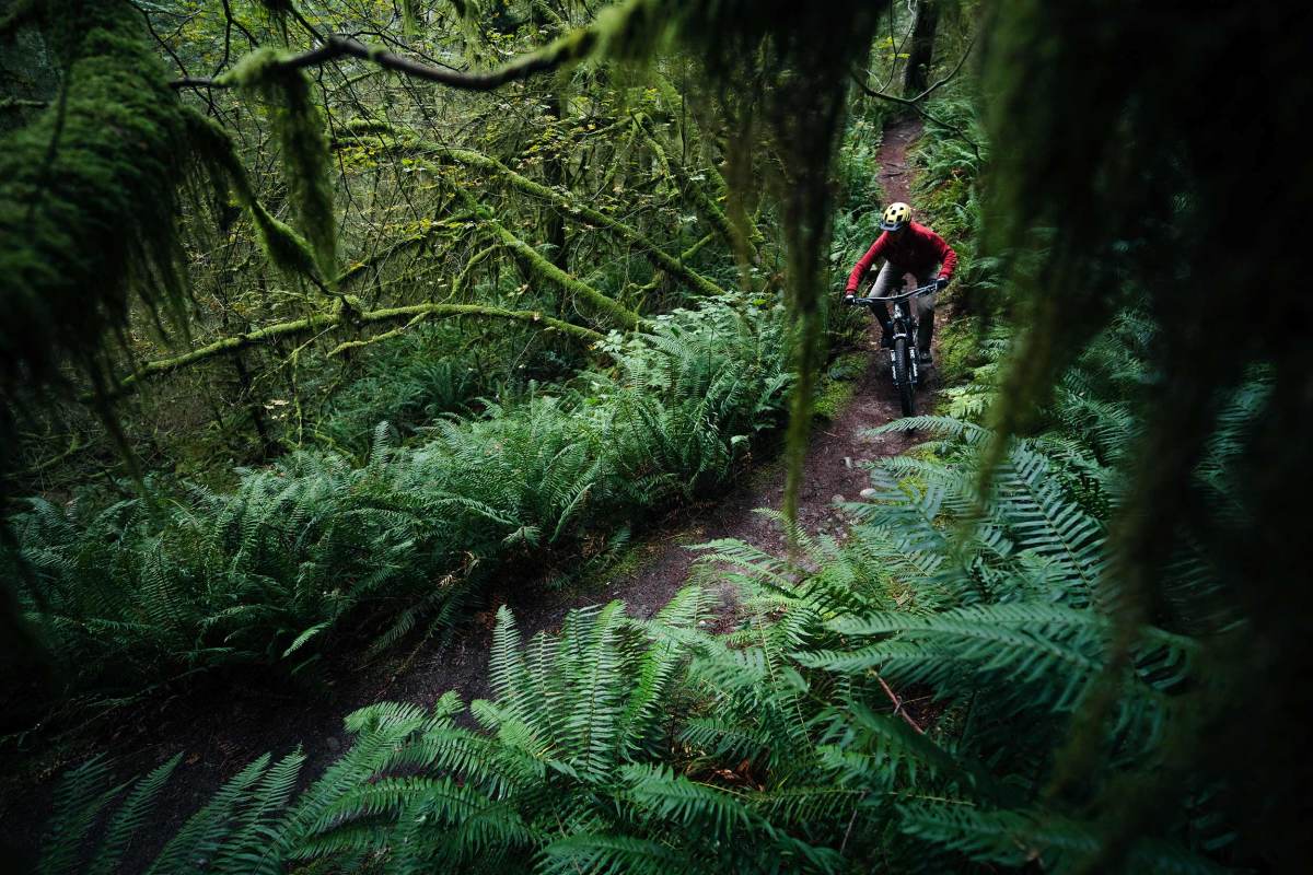 Official details on Knolly Bikes’ entry into receivership. Read the statement from Noel Buckley on restructuring, order fulfillment, and the brand's path forward.