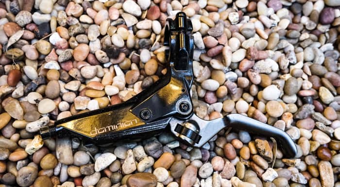 hayes dominion bleed