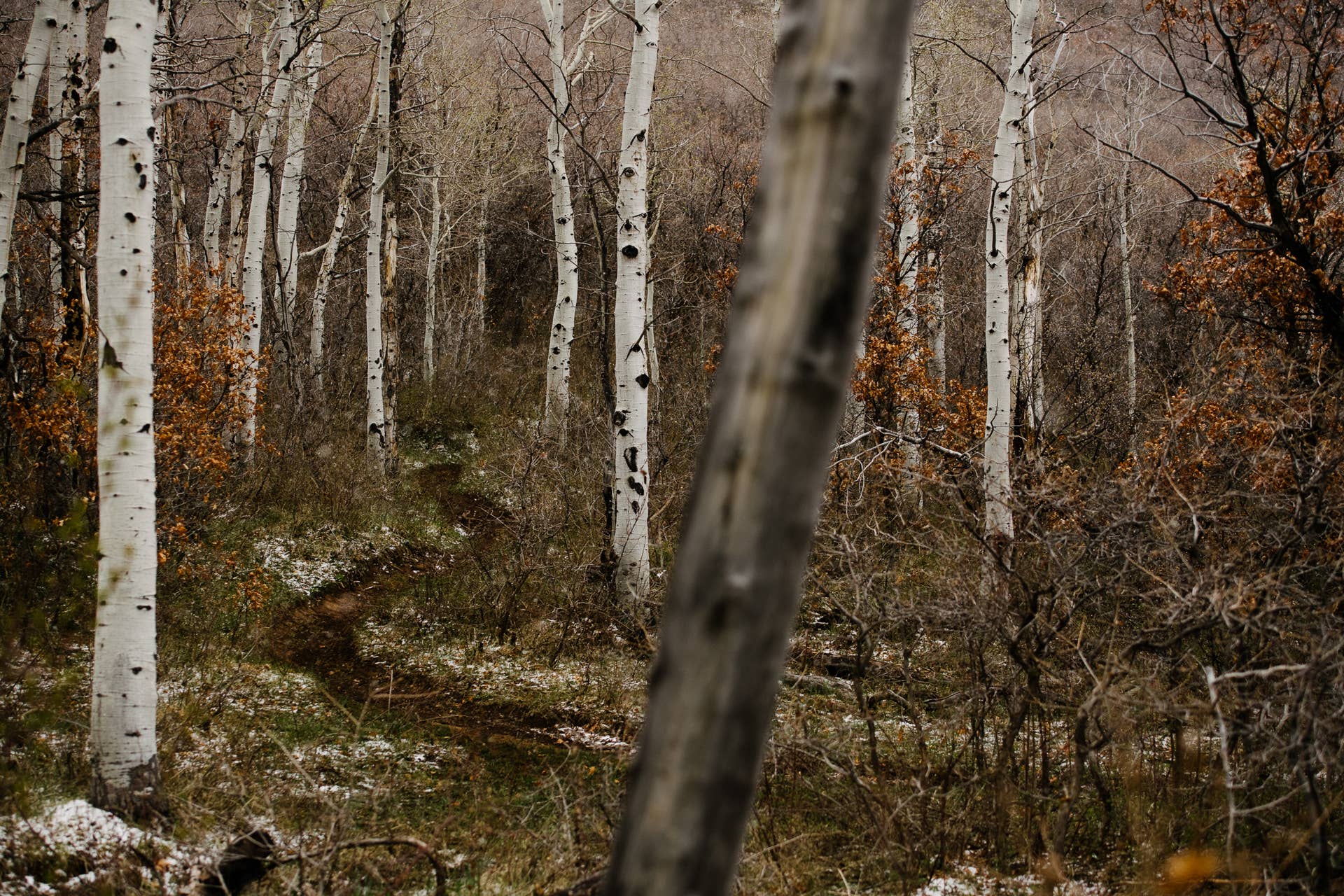 Top 10 Mountain Bike Trails in the USA BikeMag