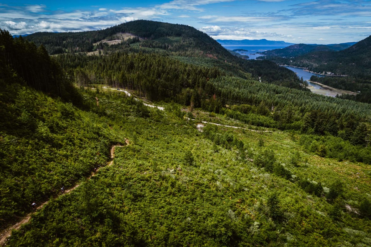 bc bike race bike check