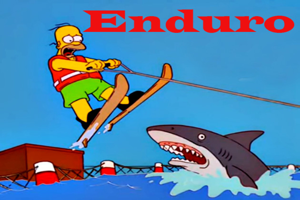 The  Monkey Speaks Has Enduro Jumped the Shark? BikeMag