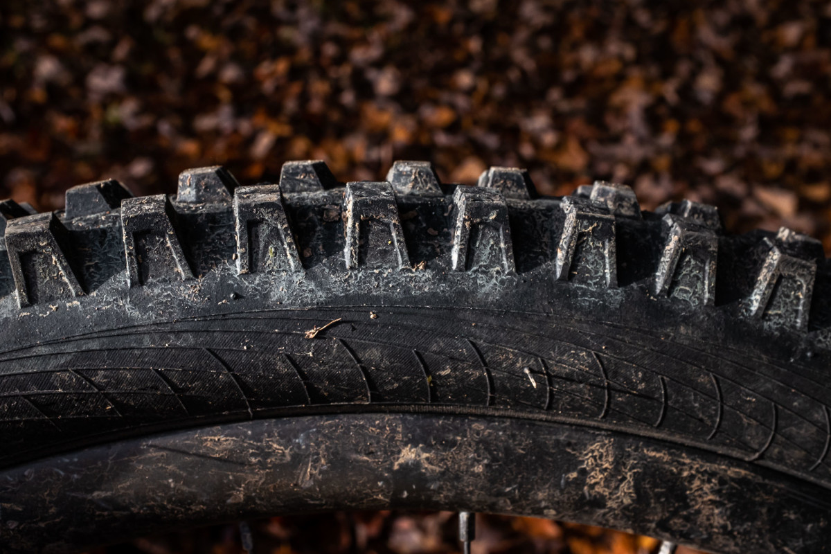 Tested WTB Verdict Wet 2.5 71 BikeMag