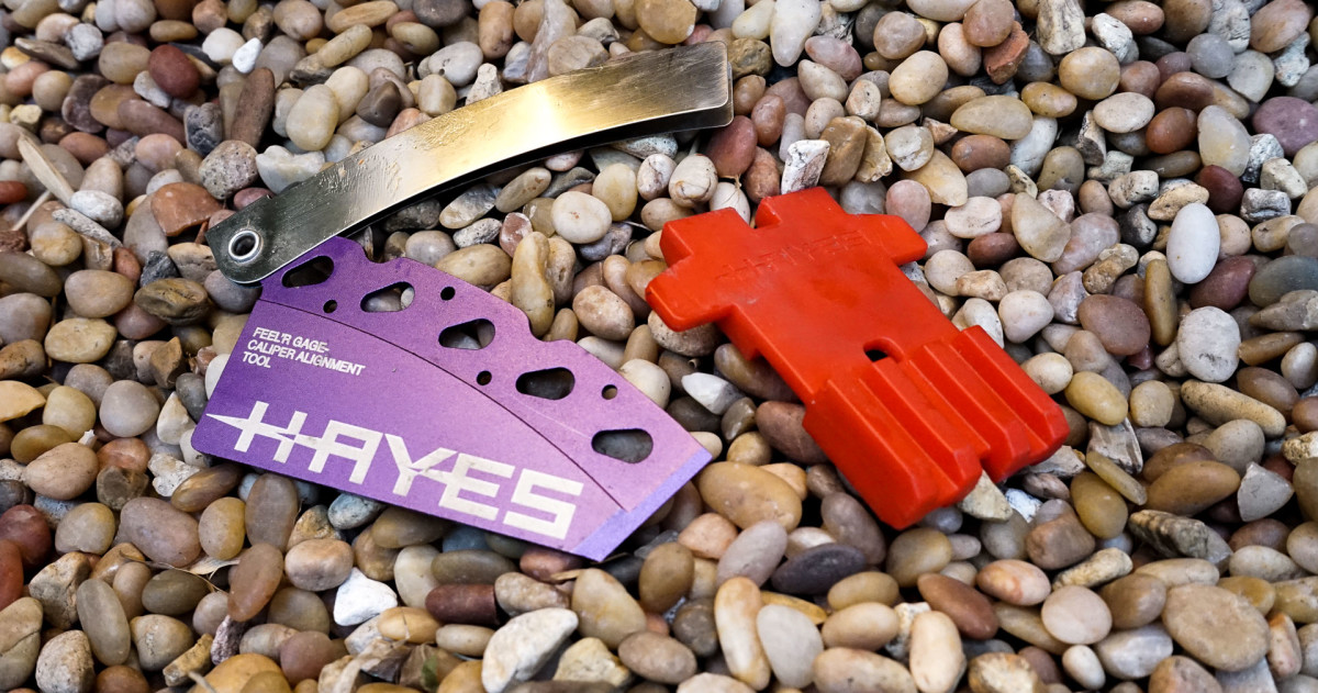 hayes dominion bleed