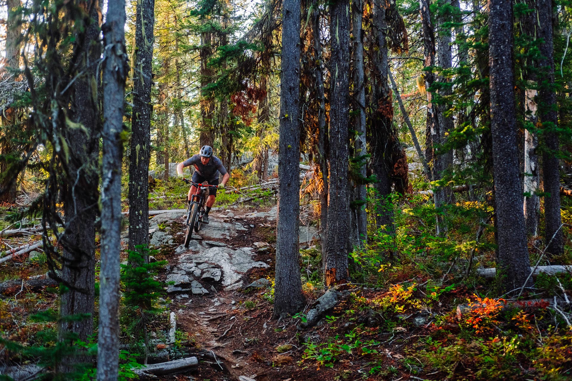 Castlegar British Columbia Mountain Bike Community And Trails castlegar-british-columbia-mountain-bike-community-and-trails