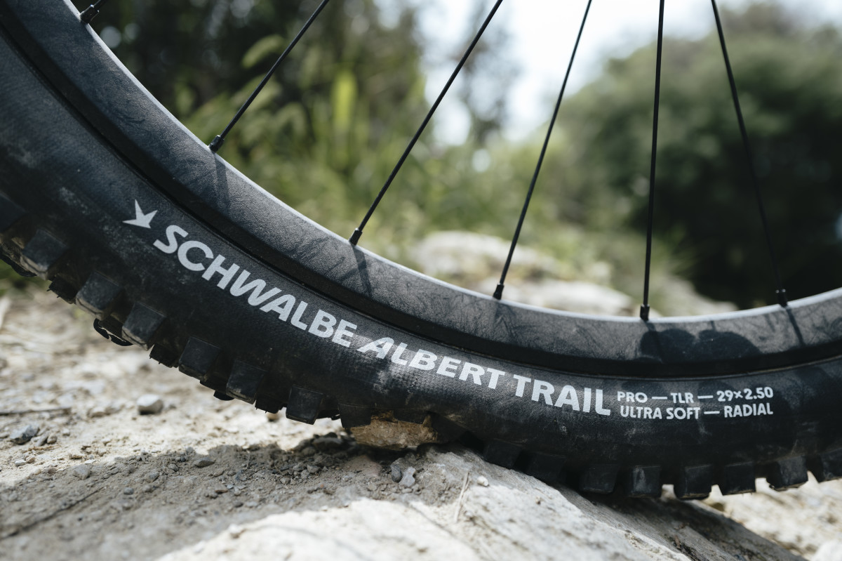 Schwalbe Launches new Albert and Shredda Tires with Radial Construction