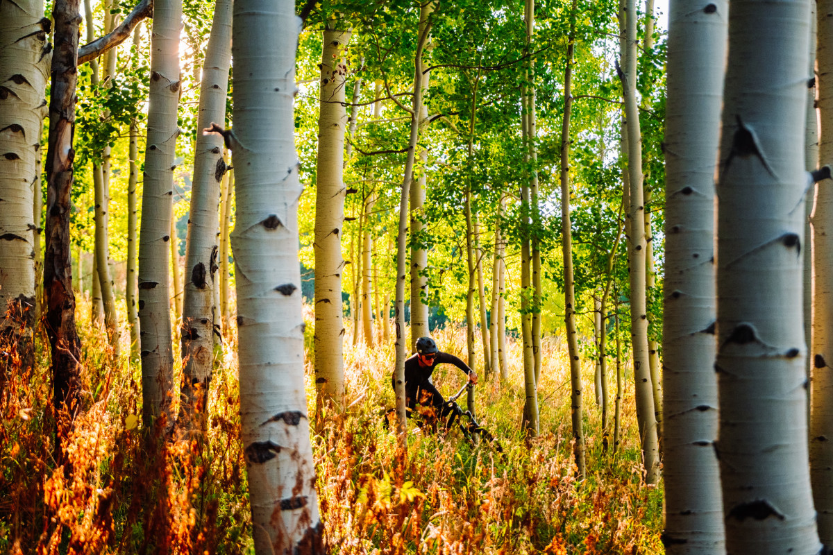 Scenic bike trails shop