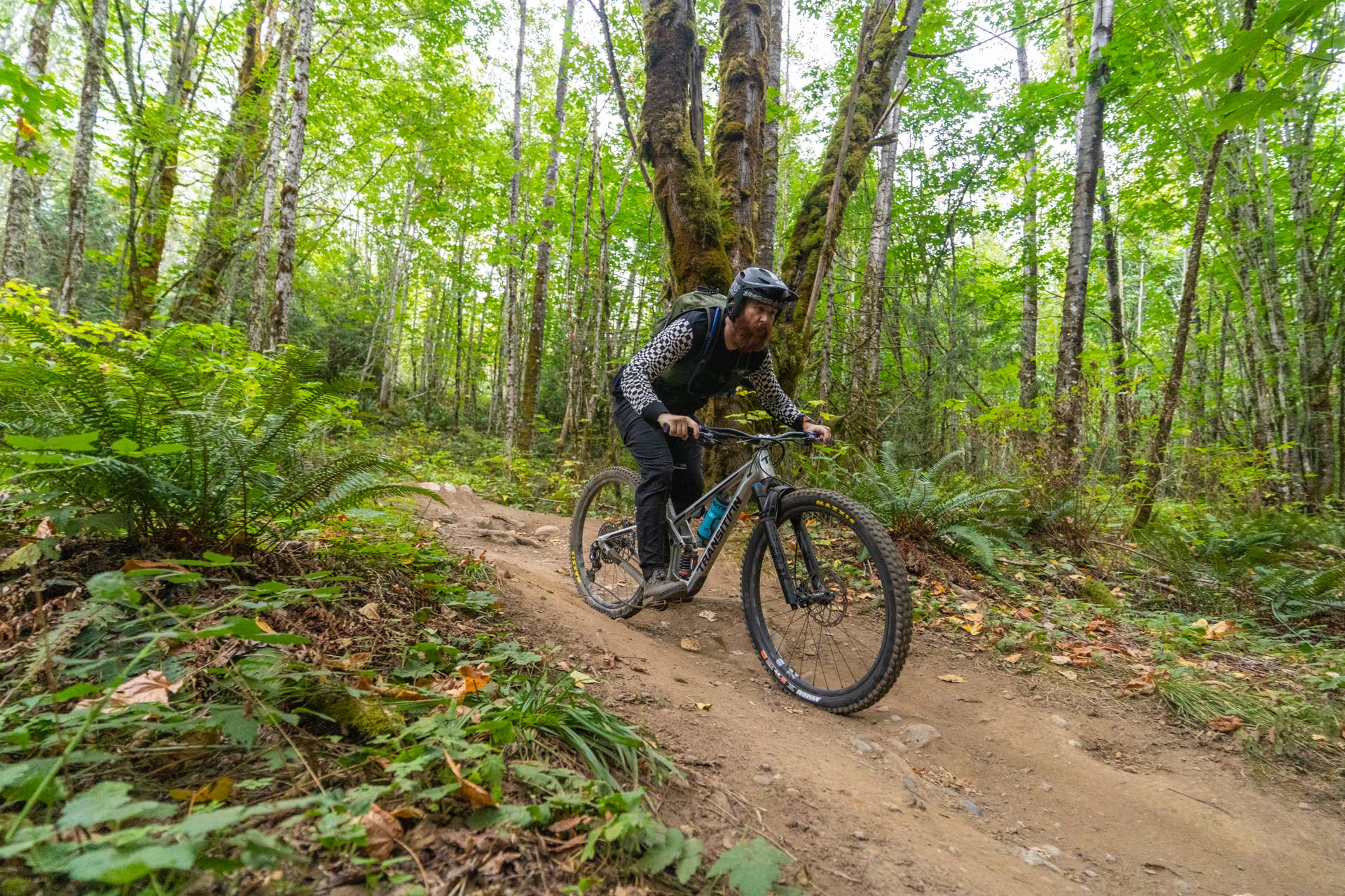 Bremsbeläge Für Hayes Dominion A4 – Organisch/harzig, Hohe Bremskraft, Für MTB & E-Bikes