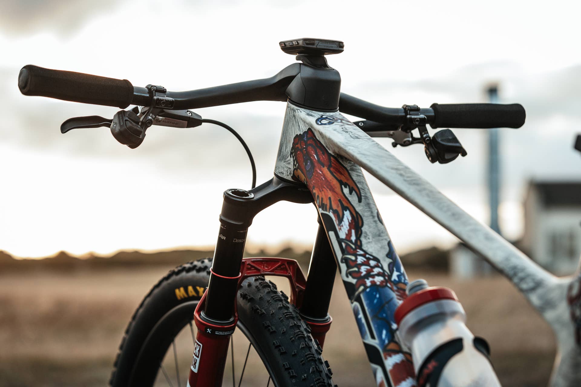 Inspiring Creativity: Bjorn Riley Shares His Custom-Painted Scott Spark