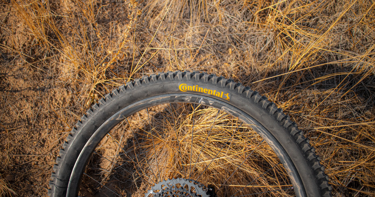 Why Chris King Refuses to Abandon Riders Affected by CSS Composite's Collapse