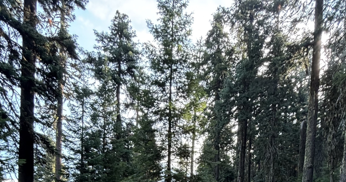 Oregon's Hidden MTB Gem: A New Trail Makes This Town a Biker's Paradise