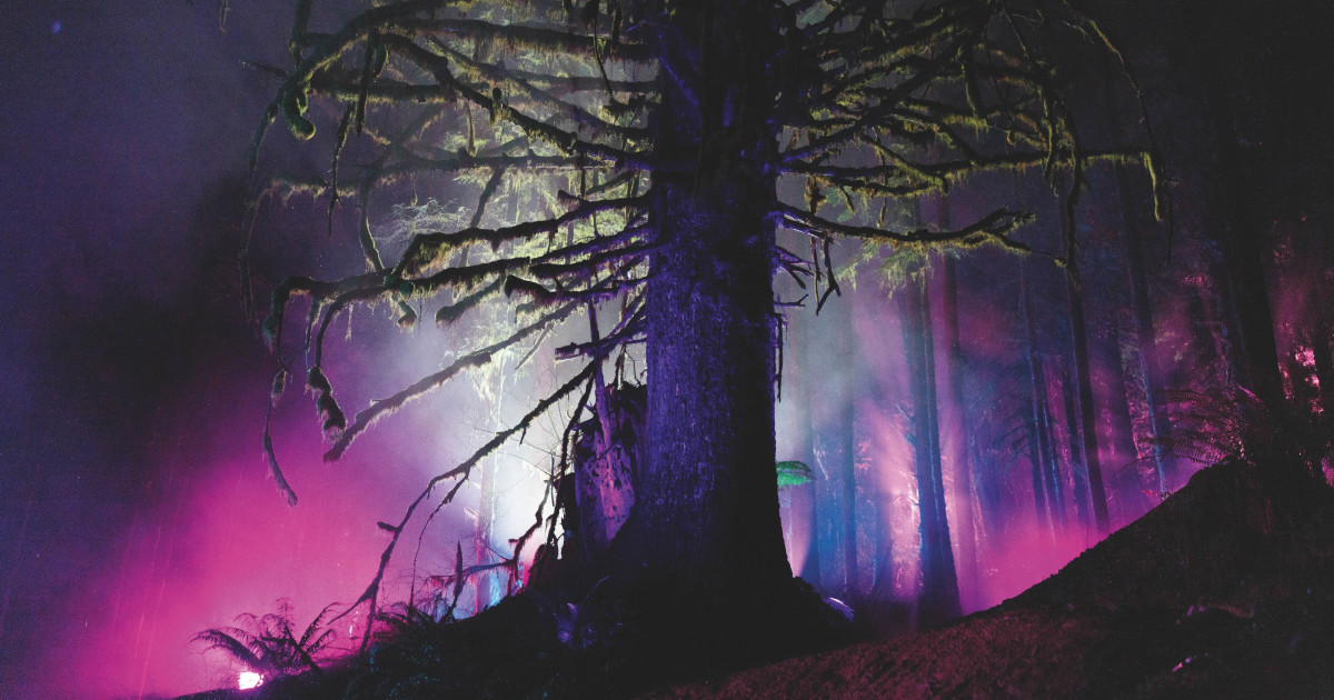 A Psychedelic Exploration of the Connection Between Sport, Light, and Spirit