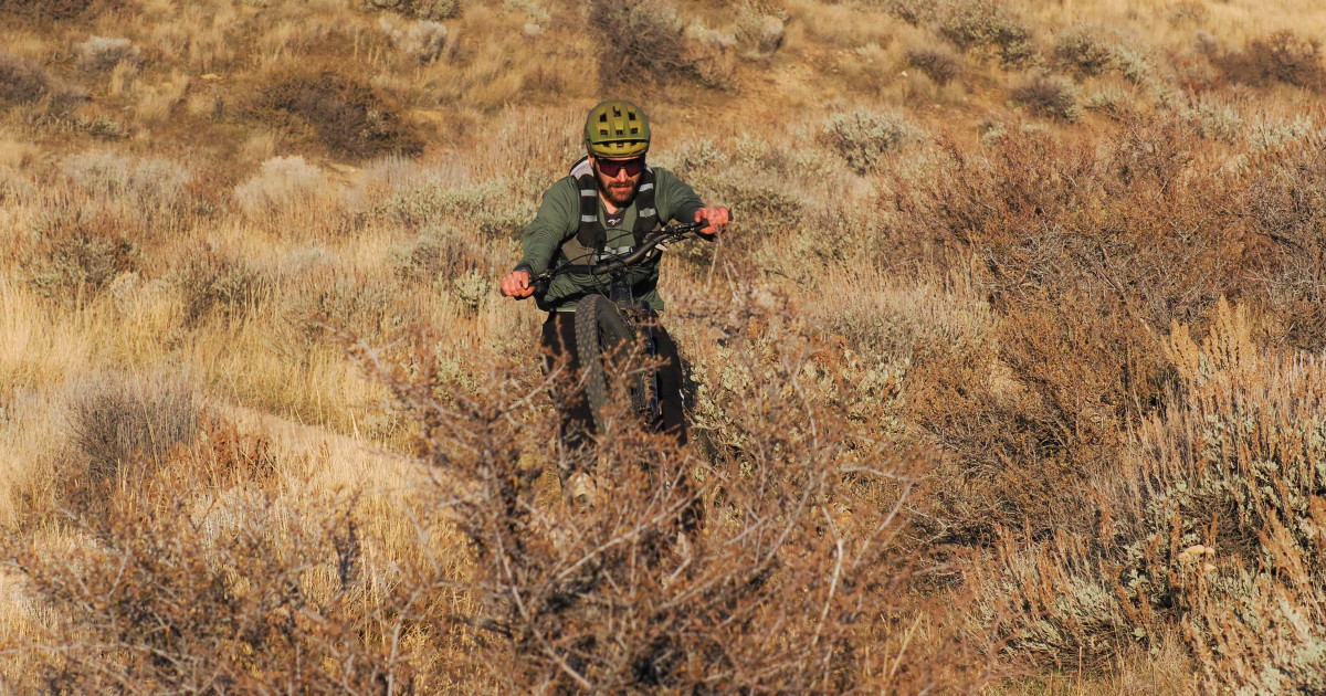 The Bikes I Loved in 2025: A 2025 Picks Series From Our Tech Editor (Part 5)