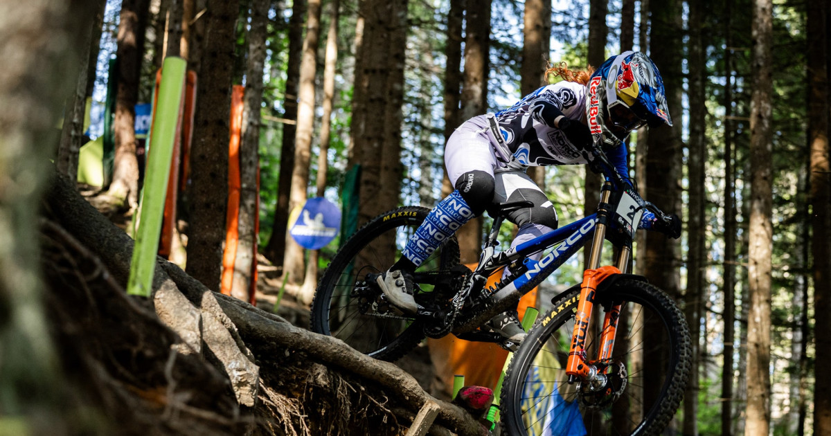 Norco's 2025 Breakout Season Wasn't an Accident